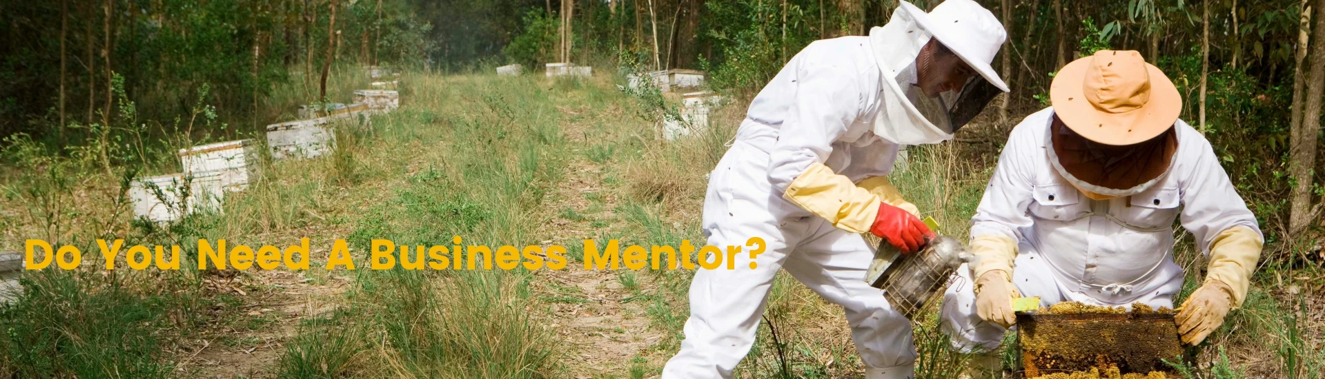 Do you need a business mentor? Two beekeepers examining a beehive frame